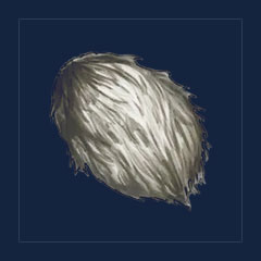 Precious Pelt