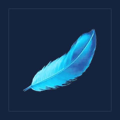 Precious Plume