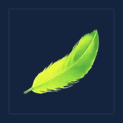 Tocotoco Feather