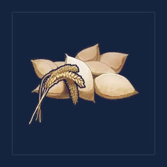 Wheat Seeds