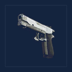 Handgun(Legendary)
