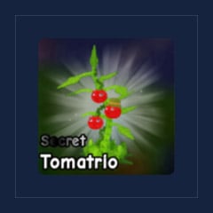Tomatrio Seed