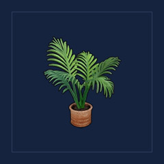 Ficus [x10]