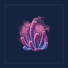 Weird Coral [x10]