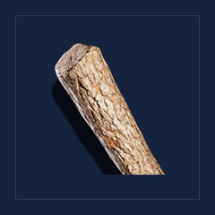 Oak woodMisc
