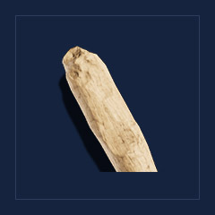 Petrified woodMisc