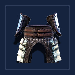 Reinforced Bracers and Tassets IIOld Camp Guard