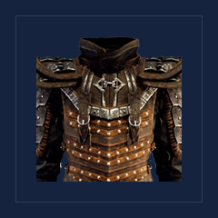Royal Guard ArmorRoyal Guard
