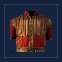 Warder`s ArmorOld Camp Guard
