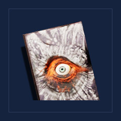Arcanum Golum - Volume IIReadableBook