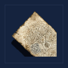 Focus Stones MapReadableMap