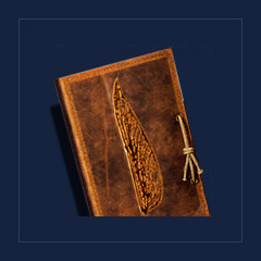 The BloodfliesReadableBook