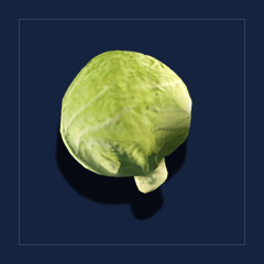 CabbageFood
