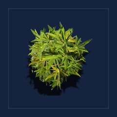 Cavern DewleafFood