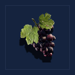 GrapesDrink
