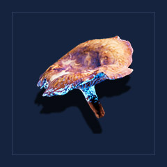 MistcapFood