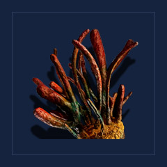 Orc SporeFood