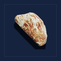 Raw White MeatFood
