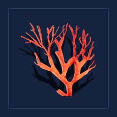 RedspineFood