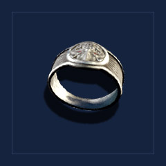 Warrior`s Ring of PowerRing
