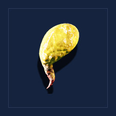 Bloodfly`s poison glandTrophy