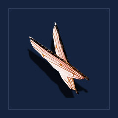 Bloodfly`s wingsTrophy