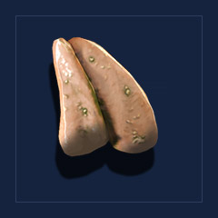 BugmeatTrophy