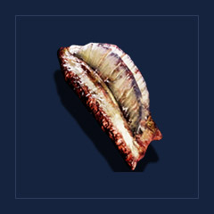 Lurker`s gillTrophy