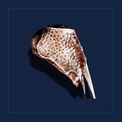 Minecrawler`s plateTrophy