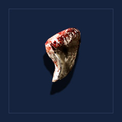 Razor`s clawTrophy