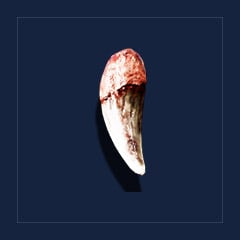 Shadowbeast`s fangTrophy