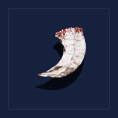 Snapper`s clawTrophy