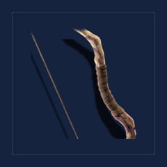 Field BowBow · Point