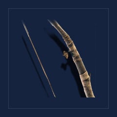 Hedge BowBow · Point