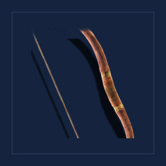 Rider`s BowBow · Point