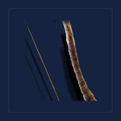 Willow BowBow · Point