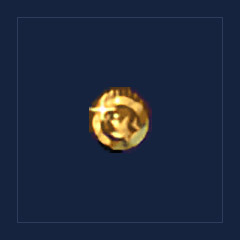 Traveler`s Coin