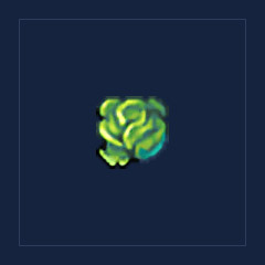 Cabbage