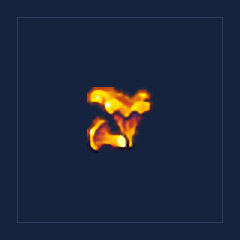 Chanterelle Mushroom
