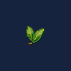 Bay Leaf