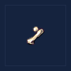 Bone