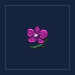 Ember Orchid