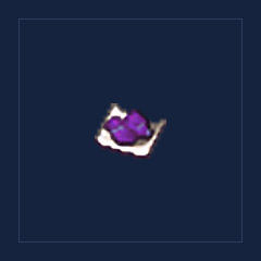 Grape Paste
