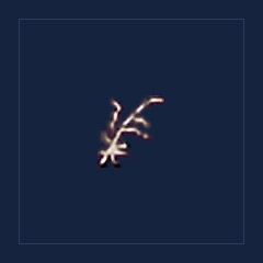 Bare Feather