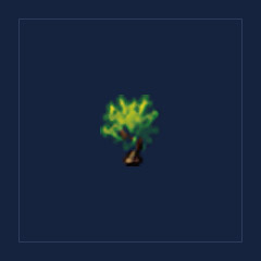 Apple Tree Sapling