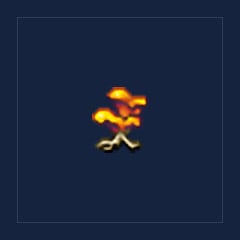 Chanterelle Mycelium