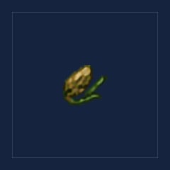 Ember Orchid Seeds