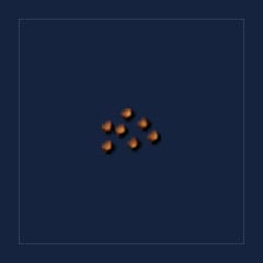 Mint Seeds