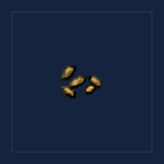 Olive Seeds