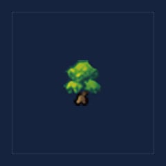 Tree Sapling